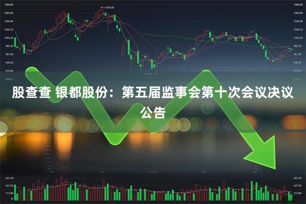 股查查 银都股份：第五届监事会第十次会议决议公告