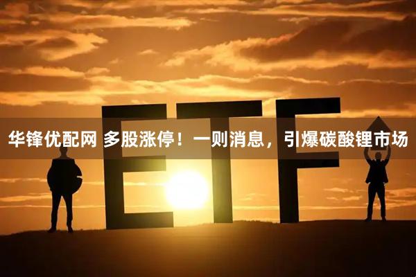 华锋优配网 多股涨停！一则消息，引爆碳酸锂市场