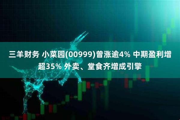 三羊财务 小菜园(00999)曾涨逾4% 中期盈利增超35% 外卖、堂食齐增成引擎