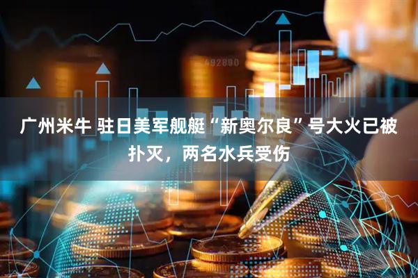 广州米牛 驻日美军舰艇“新奥尔良”号大火已被扑灭，两名水兵受伤