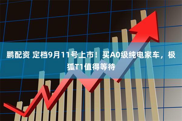 鹏配资 定档9月11号上市！买A0级纯电家车，极狐T1值得等待